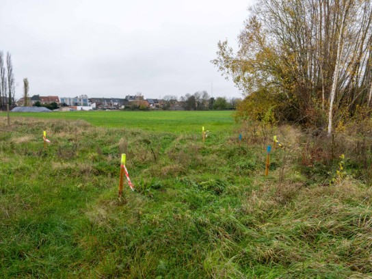 Groen veld met houten palen en linten, bomen rechts en huizen op de achtergrond onder een bewolkte lucht. (vergroot foto)