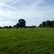 voetbalveld