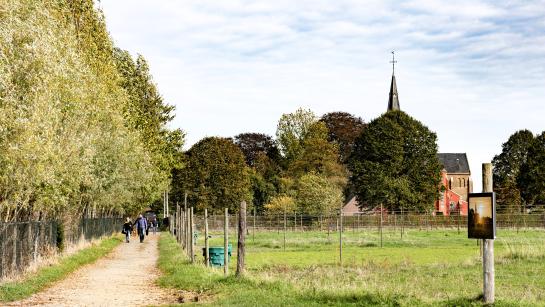 Wandelaars tijdens de Dag van de trage weg 2025
