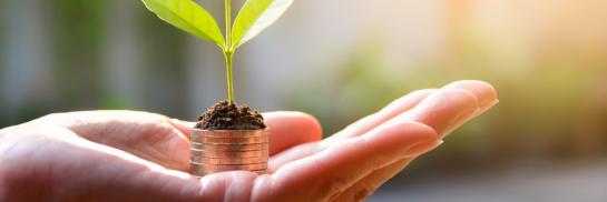 groen plantje op een geldhoop op een hand
