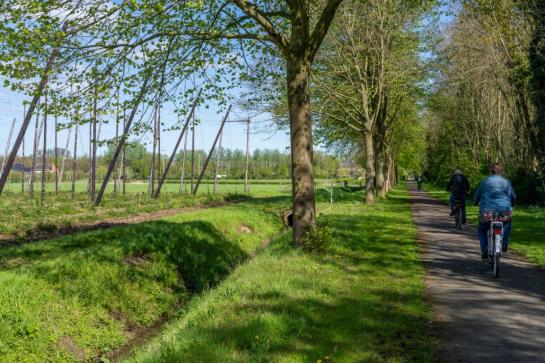Hopveld langs Leirekensroute