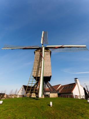 Heidemolen - voorjaar 2026